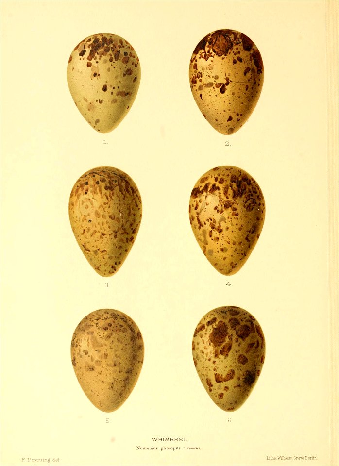 n213_w1150