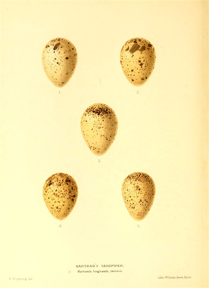 n103_w1150