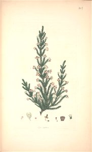 n129_w1150