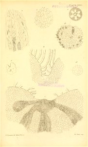 n572_w1150