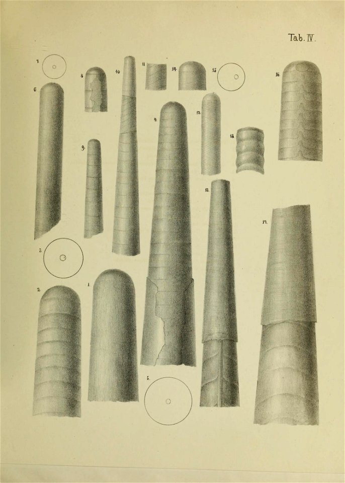 n56_w1150