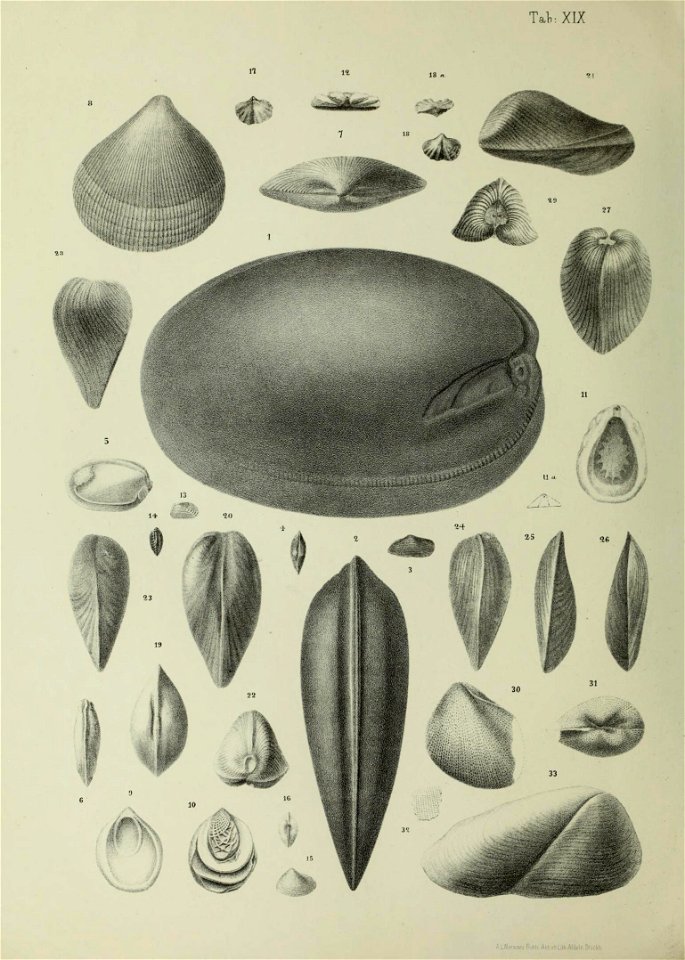 n101_w1150