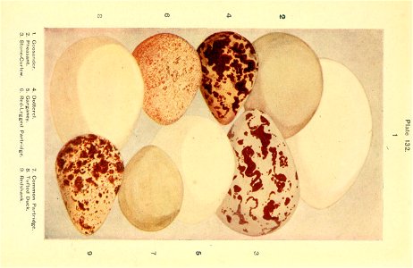 n562_w1150