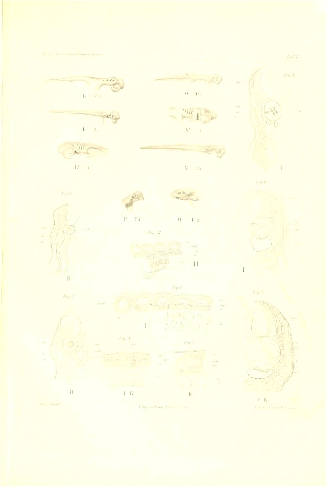 n14_w1150