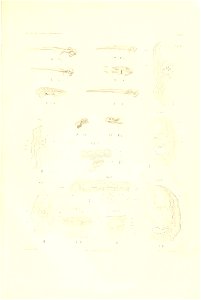 n14_w1150