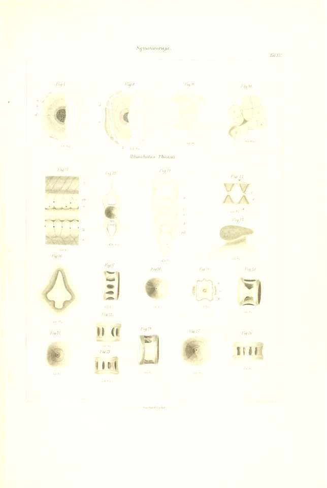 n80_w1150