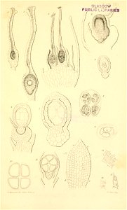 n556_w1150
