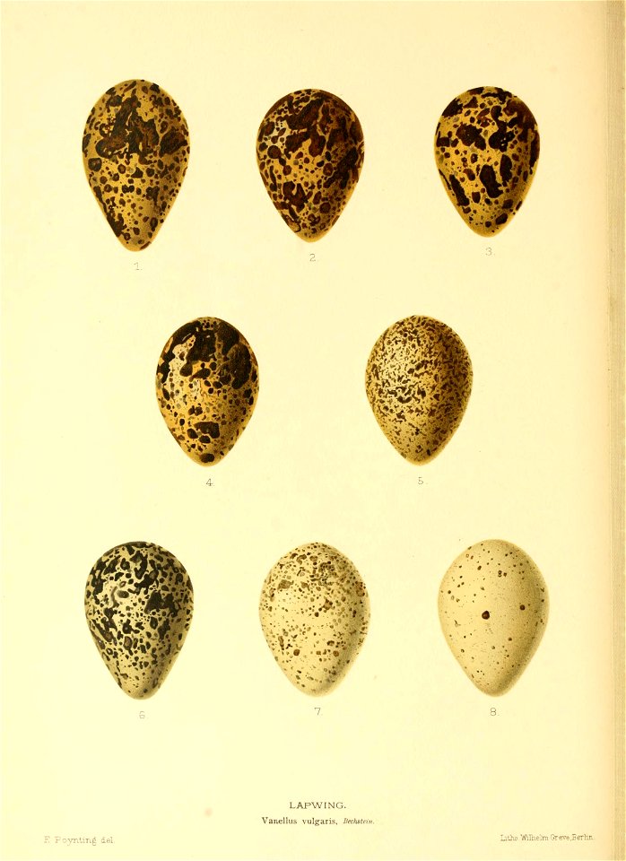 n139_w1150