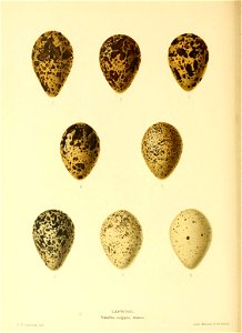 n139_w1150