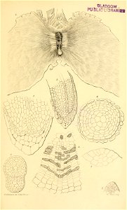 n614_w1150