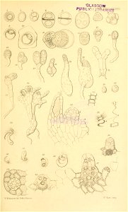 n584_w1150