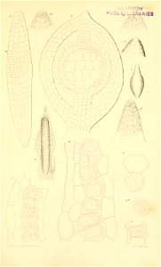 n554_w1150