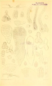 n522_w1150