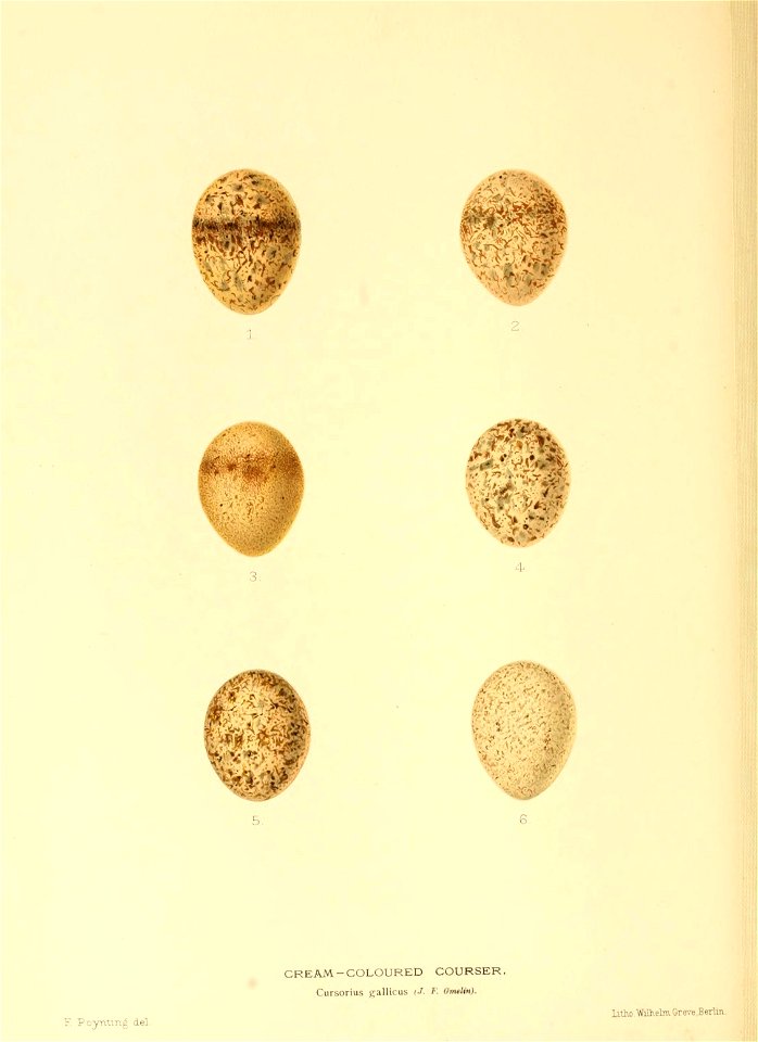 n127_w1150