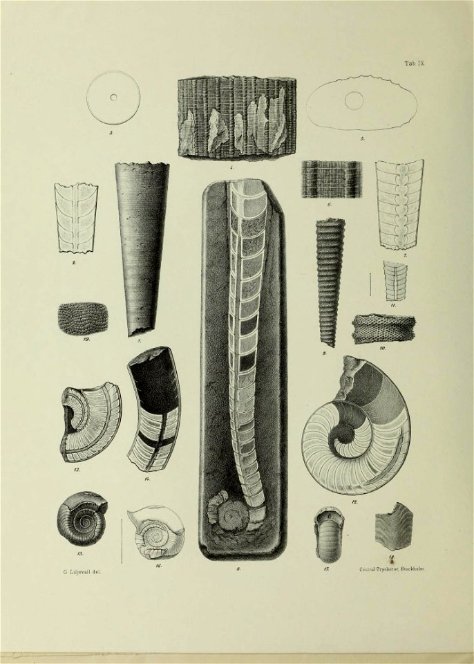 n71_w1150