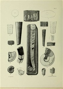 n71_w1150