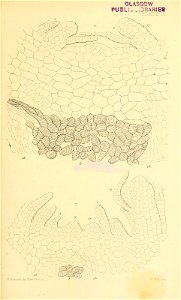 n610_w1150