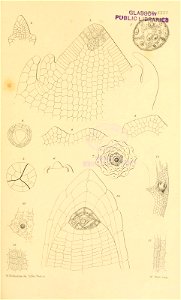 n580_w1150