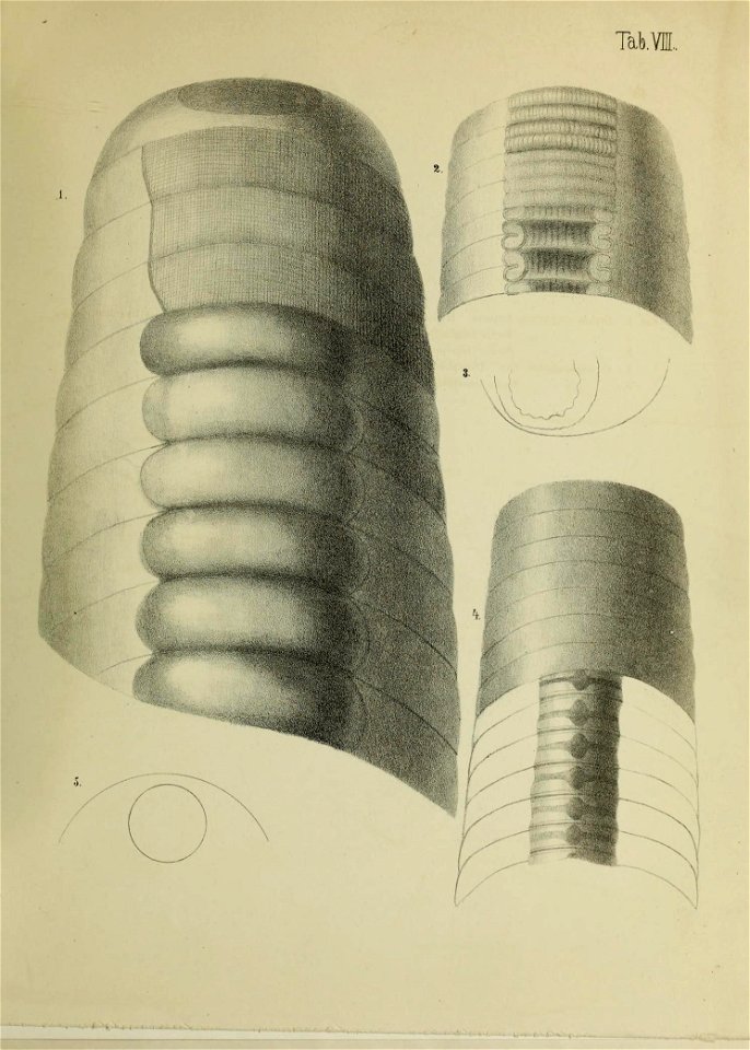 n68_w1150