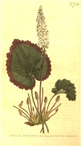 n173_w1150