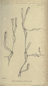 n360_w1150