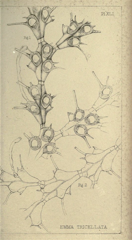 n358_w1150