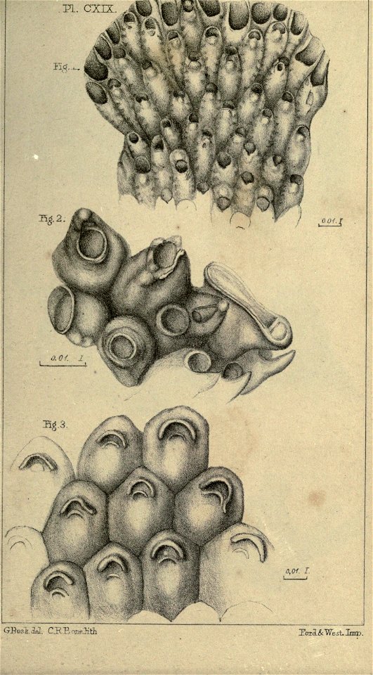 n178_w1150