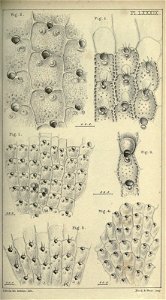 n118_w1150