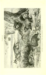 n505_w1150