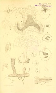 n568_w1150