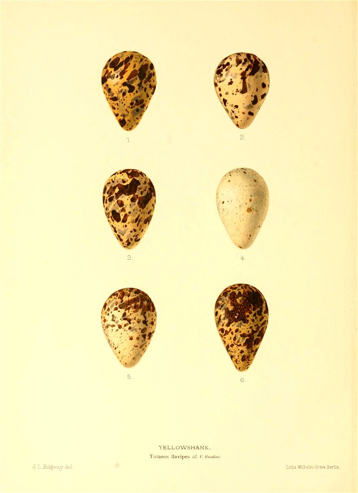 n375_w1150
