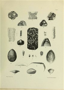 n50_w1150