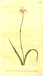 n186_w1150