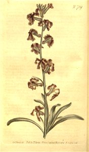 n102_w1150