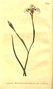 n10_w1150
