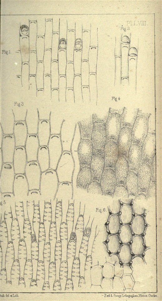 n392_w1150