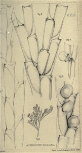 n362_w1150