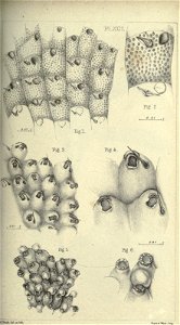 n122_w1150