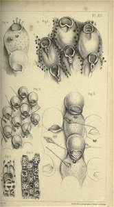 n120_w1150