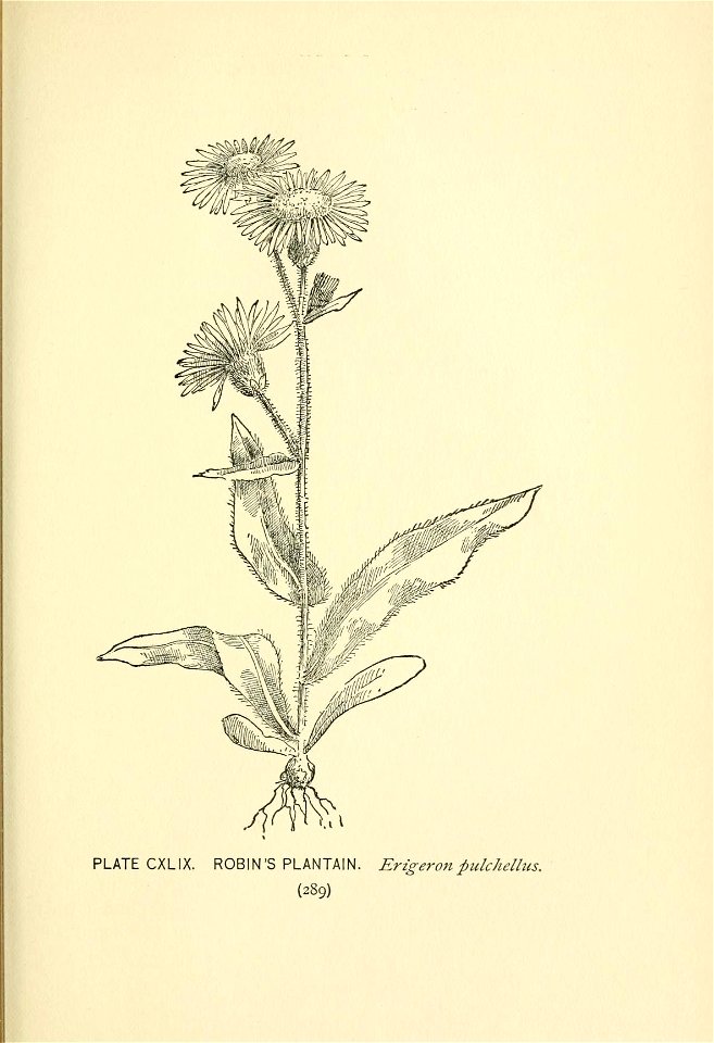 n426_w1150