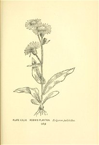 n426_w1150