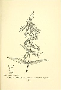 n296_w1150