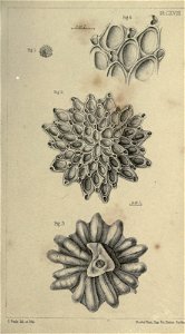 n176_w1150