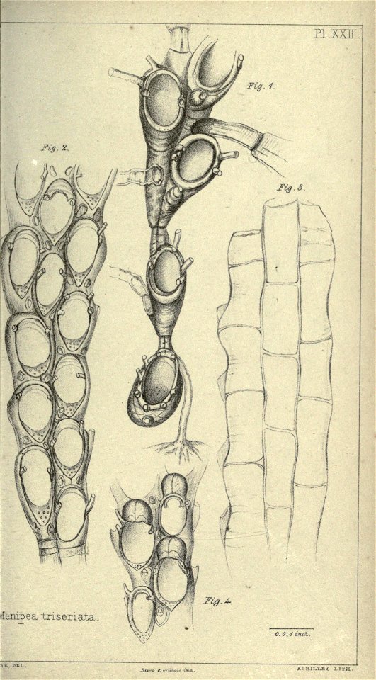 n308_w1150