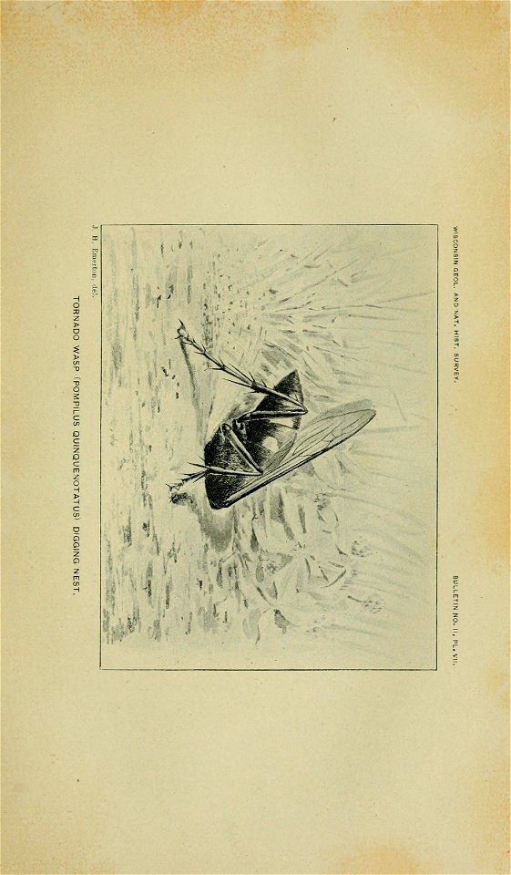 n152_w1150