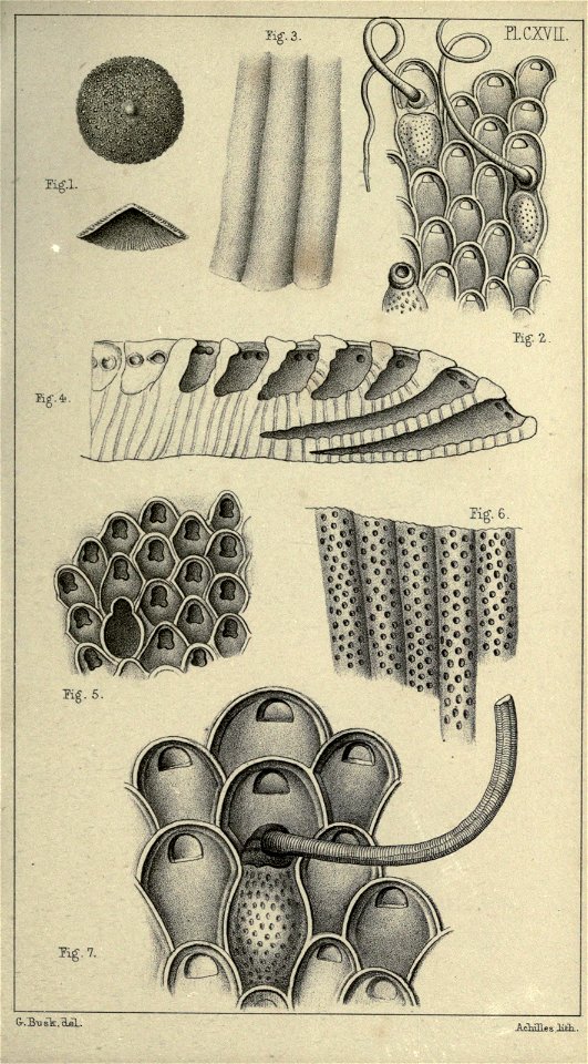 n174_w1150
