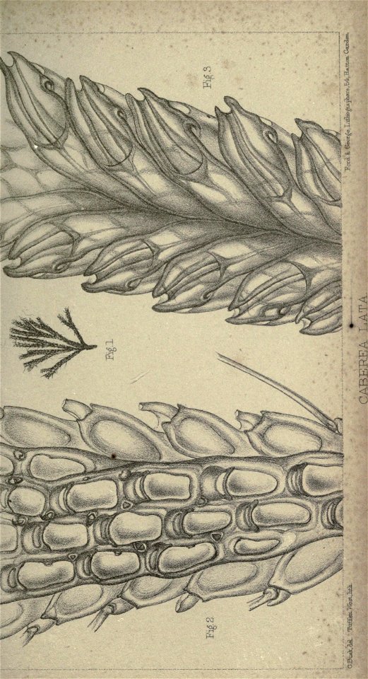 n370_w1150