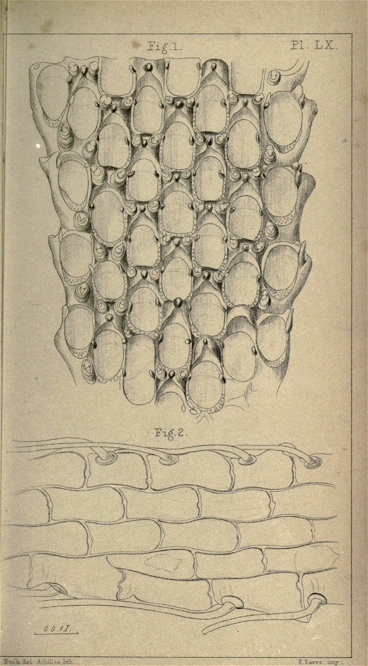 n396_w1150