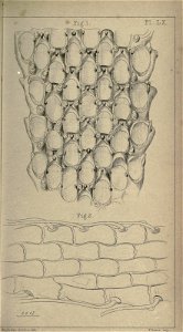 n396_w1150