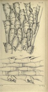 n394_w1150